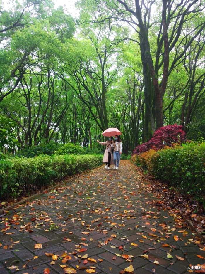 三月里的小雨